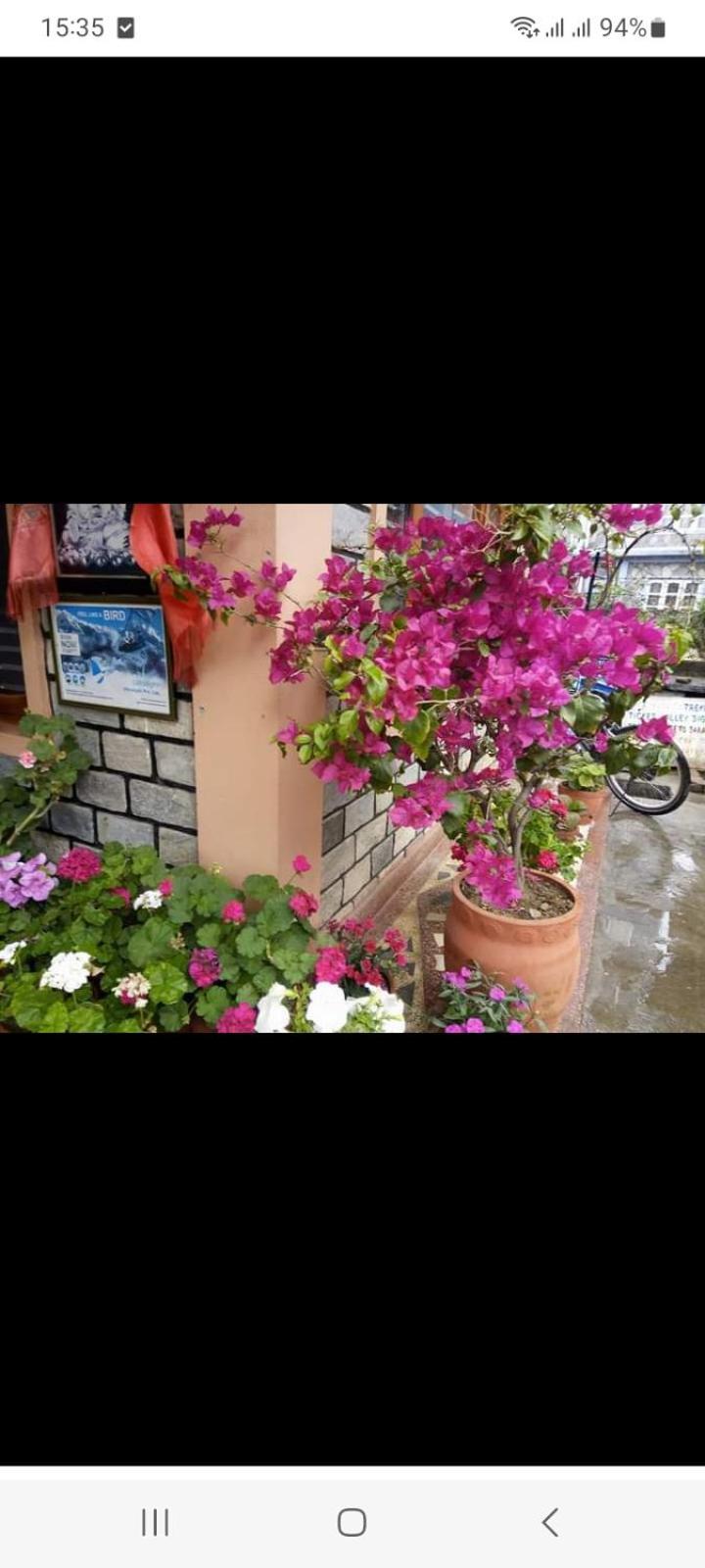 Galaxy Inn Guest House Ποκάρα Εξωτερικό φωτογραφία
